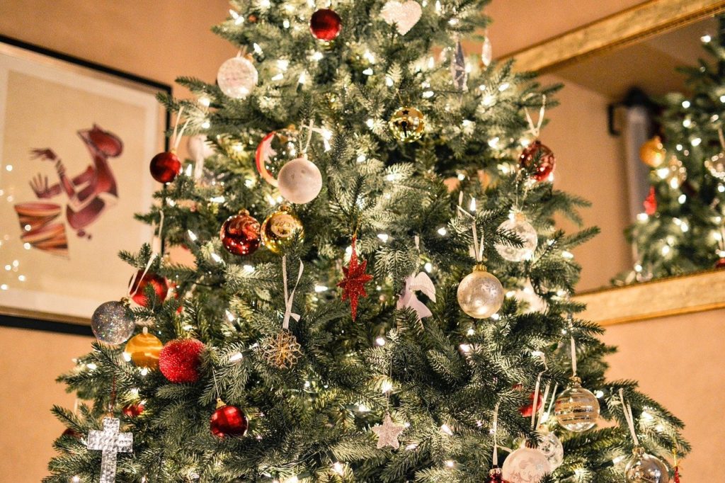 christmas tree, lights, christmas
